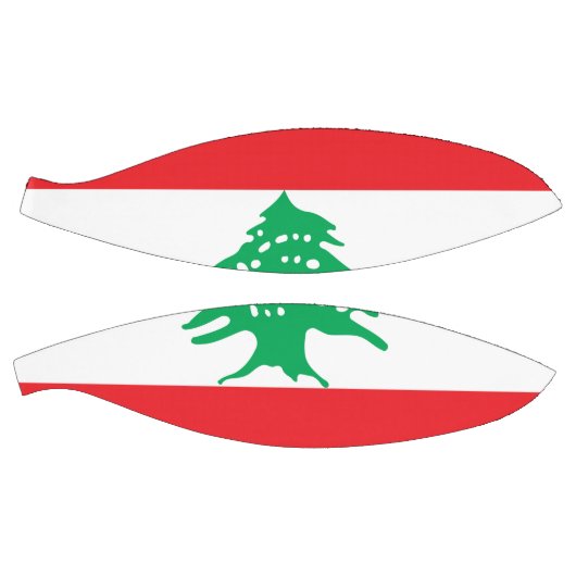 Libanese vlag basketbal (Panelen)
