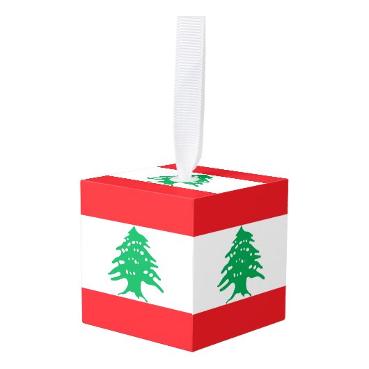 Libanese vlag decoratie (Voorkant hoekig)