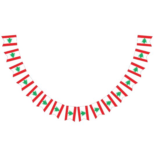 Libanese vlag en partij Libanon banners / bruiloft (Alle)