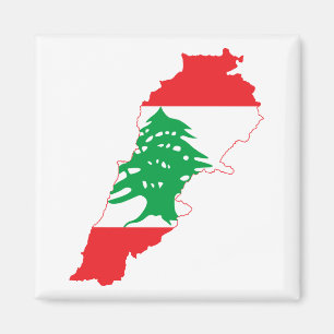 Libanese vlag magneet
