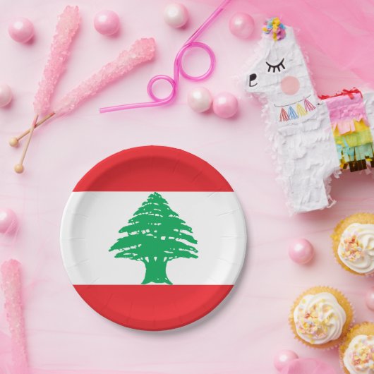 Libanese vlag papieren bordje (Feest)