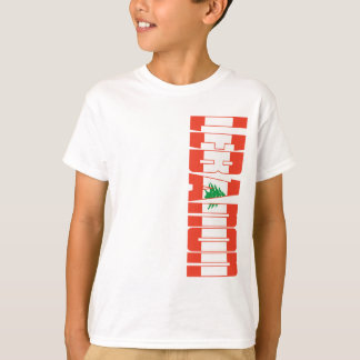 Libanese vlag t-shirt