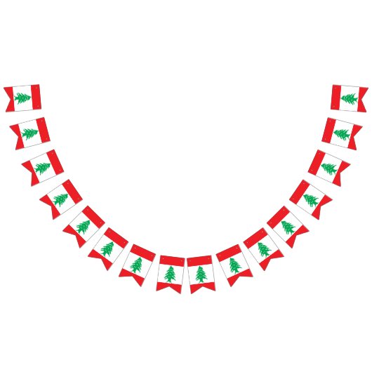 Libanese vlag vlaggetjes (Alle)