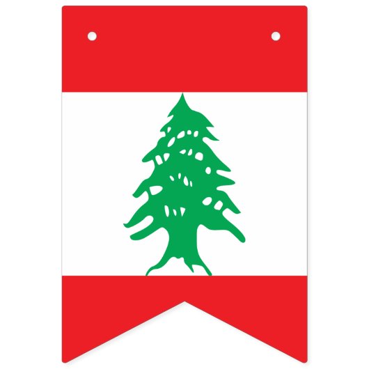 Libanese vlag vlaggetjes (Tweede vlag)