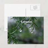 Libanon Briefkaart (Voorkant / Achterkant)