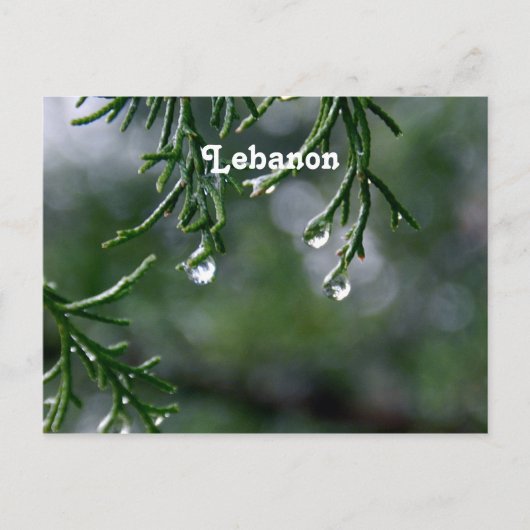 Libanon Briefkaart (Voorkant)