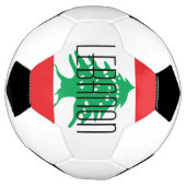 libanon voetbal (Gedraaid)
