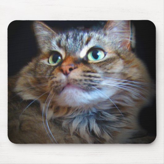 libby cat mousepad muismat (Voorkant)