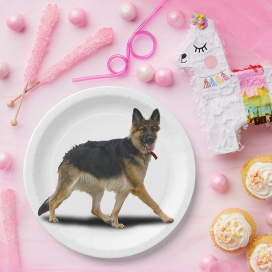 LIBBY PAPIEREN BORDJE (Feest)