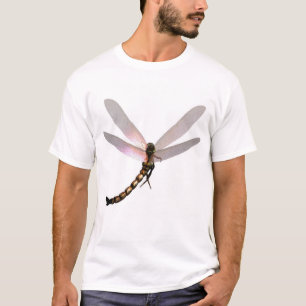 LIBEL 10361L T-SHIRT