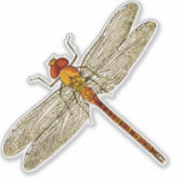 Libel Contour Sticker (Voorkant)