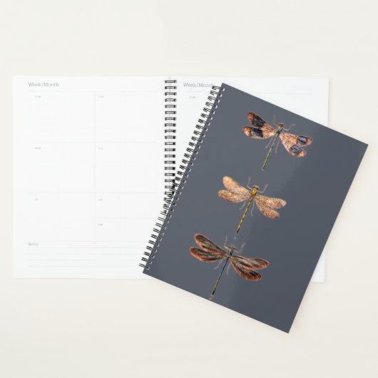 libel droom planner (Display)