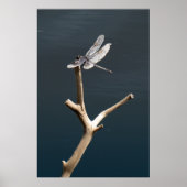 Libel in rust poster (Voorkant)