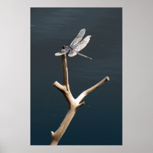 Libel in rust poster