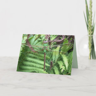 libel in tuin Foto Wenskaart Kaart