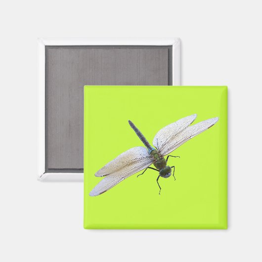 Libel Magneet (Voorkant / Achterkant)