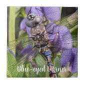 Libel met blauwe ogen op bloem tegeltje (Voorkant)