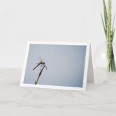 Libel met wandelstok kaart (Voorkant)