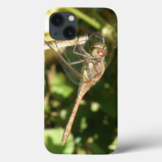 Libel op een Hoesje van het Takje iPad (Achterkant)