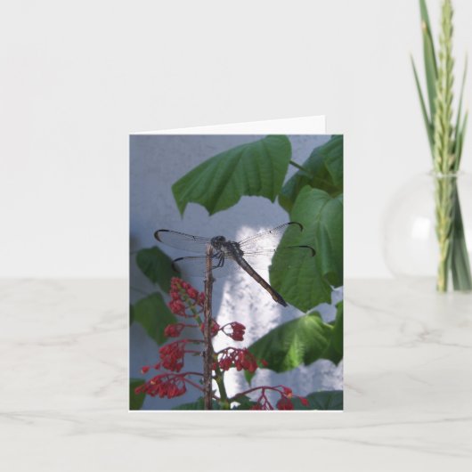 Libel op een lege kaart van de binnenkantnota (Voorkant)