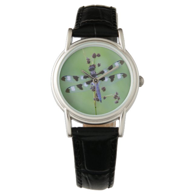 Libel op gras, Canada Horloge (Voorkant)