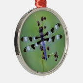 Libel op gras, Canada Metalen Ornament (Rechts)