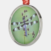 Libel op gras, Canada Metalen Ornament (Links)