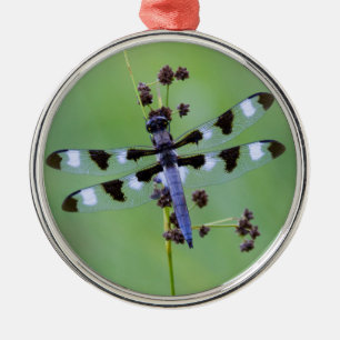 Libel op gras, Canada Metalen Ornament