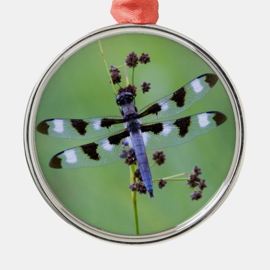 Libel op gras, Canada Metalen Ornament (Voorkant)