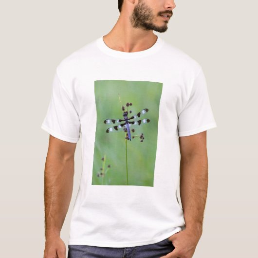 Libel op gras, Canada T-shirt (Voorkant)