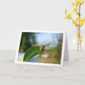 Libel op groen blad kaart (Gele Bloem)