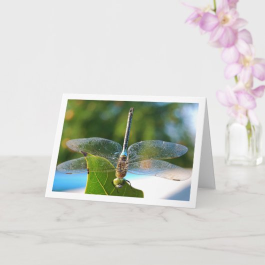 Libel op groen blad kaart (Orchidee)