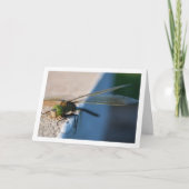 Libel op vensterbank kaart (Voorkant)