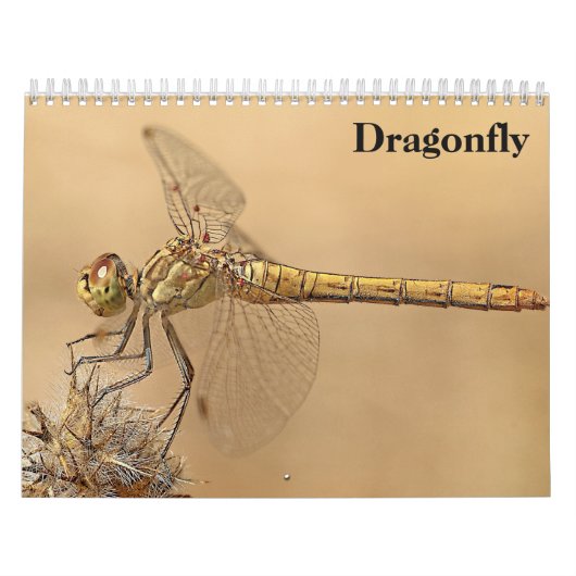 Libelle 2027 kalender (Hoes)