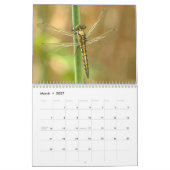 Libelle 2027 kalender (Mar 2027)