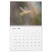 Libelle 2027 kalender (Jan 2027)