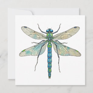 Libelle Botanische Kunst Insectenliefhebber Natuur Kaart