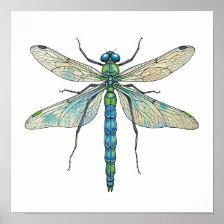 Libelle Botanische Kunst Insectenliefhebber Natuur Poster