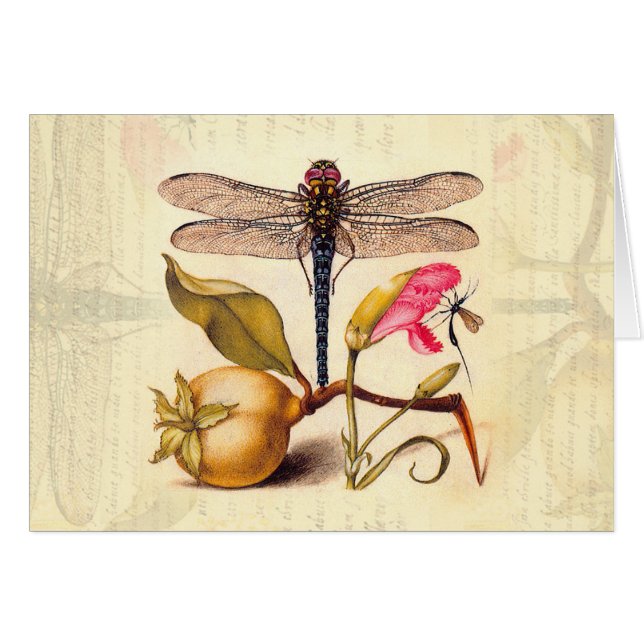 Libelle Botanische Natuur Natuurleven (Voorkant Horizontaal)