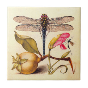 Libelle Botanische Natuur Natuurleven Hoefnagel Ku Tegeltje