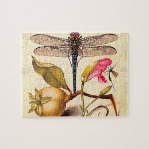 Libelle Botanische Natuur Natuurlijke Historie Hoe Legpuzzel
