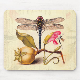 Libelle Botanische Natuur Natuurlijke Hoefnagel Ku Muismat