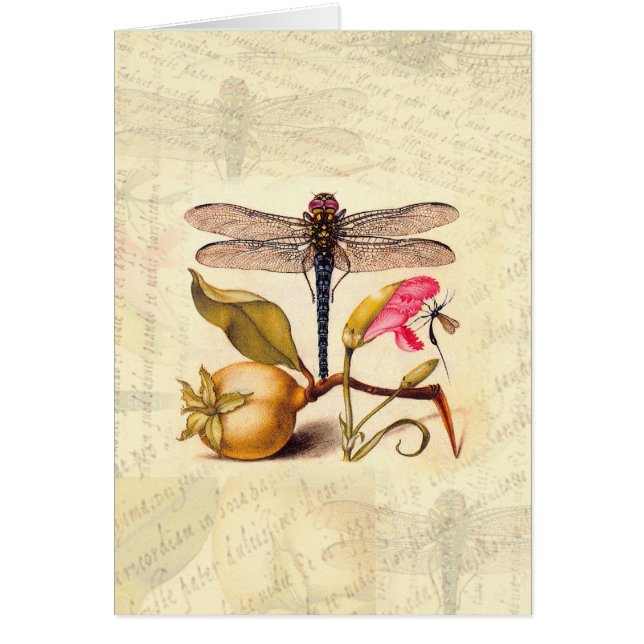 Libelle Botanische Natuur Wilde Dieren (Voorkant)