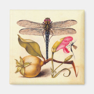 Libelle Botanische Natuur Wilde Dieren Magneet