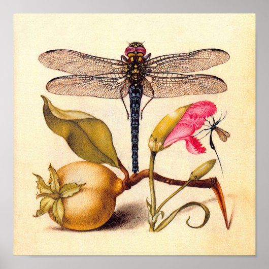 Libelle Botanische Natuur Wilde Dieren Poster (Voorkant)