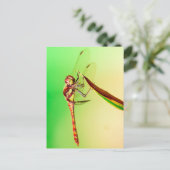 Libelle Briefkaart (Staand voorkant)