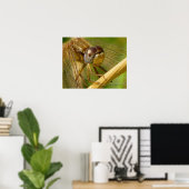 Libelle close-up poster (Thuiskantoor)