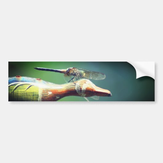 Libelle Co-piloot Natuur Bumpersticker (Voorkant)
