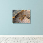 Libelle Foto op Canvas Print met Spanraam (Insitu (Houten vloer))