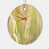 Libelle Foto Ornament (Links)